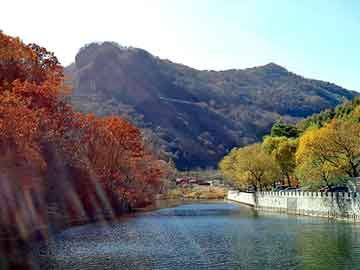 新澳天天开奖资料大全旅游团，葵花脱粒机